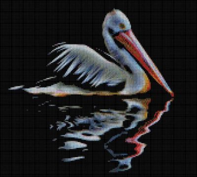 Pelican