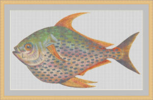 Vintage Fish 1 Cross Stitch