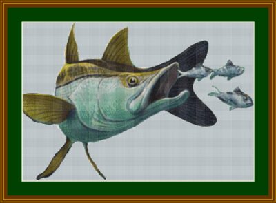 Snook Fish Cross Stitch Chart