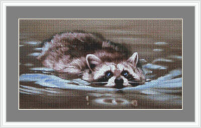 Raccoon Swimming Chart