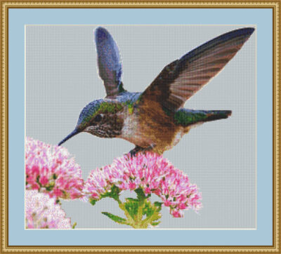 Hummingbird Cross Stitch Design