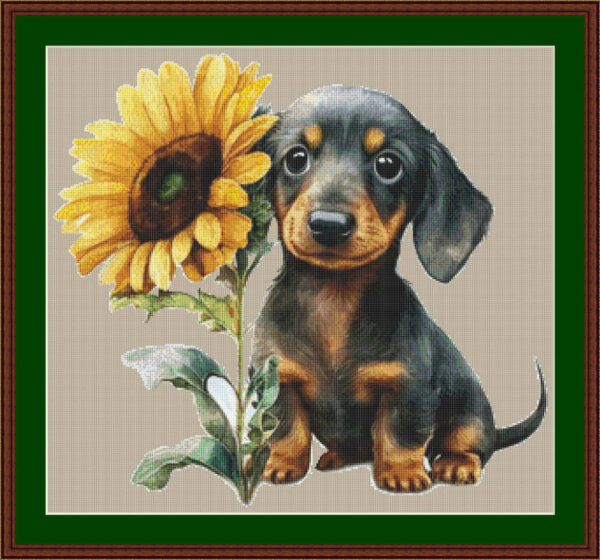 dachshund sunflower puppy mockup web