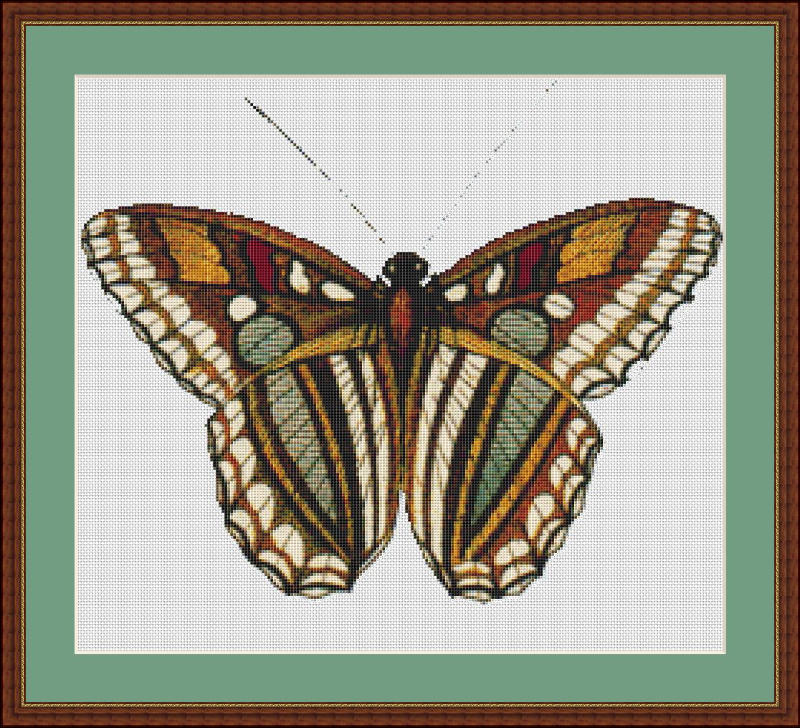 Butterfly Mockup